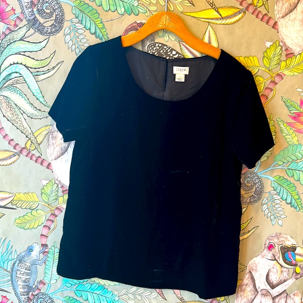 J Crew velvet top